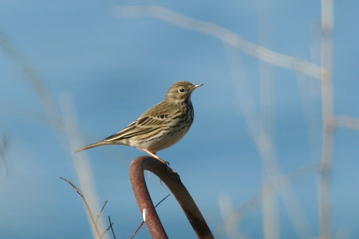 �}�L�o�^�q�o��