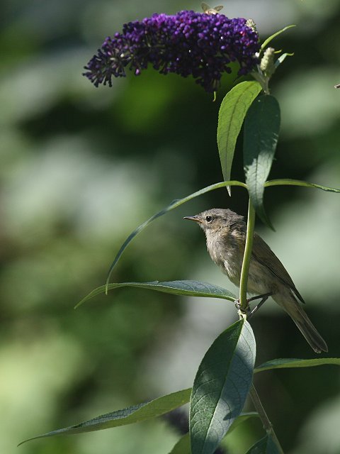 �`�t�`���t