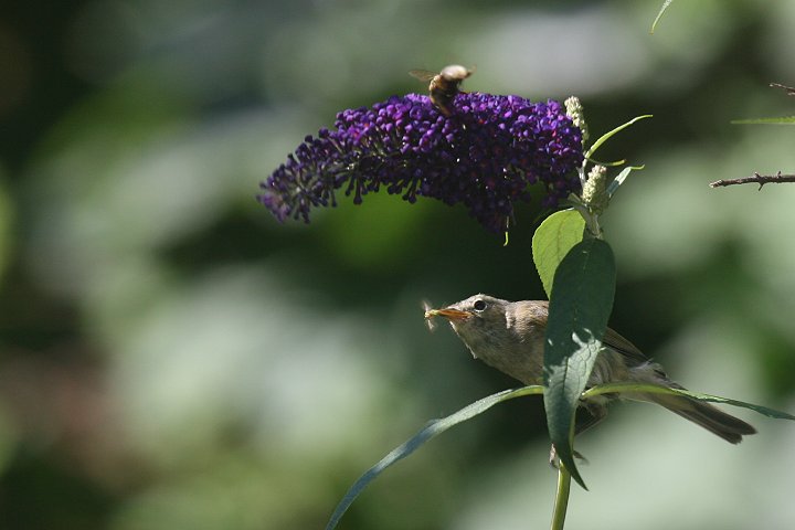 �`�t�`���t