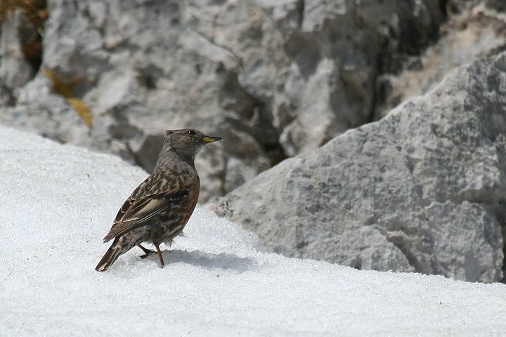 �C���q�o��