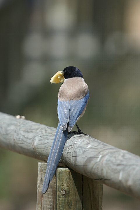 �I�i�K�i�C�x���A��������j