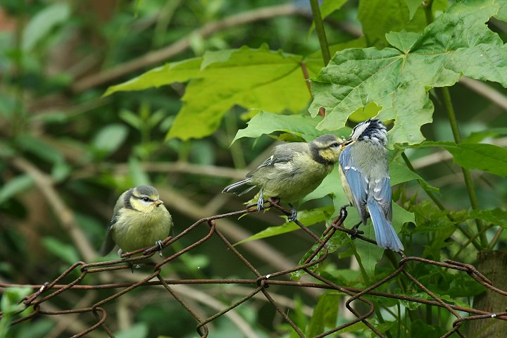 �A�I�K���e�q