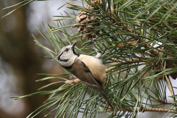 �J�������K��