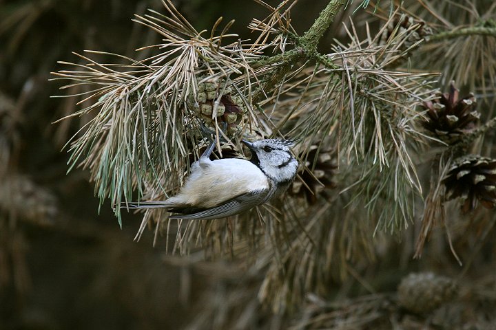 �J�������K��