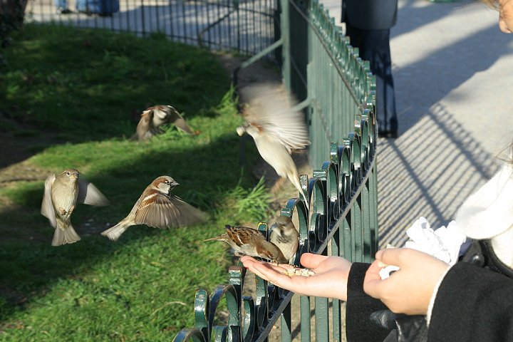 �C�G�X�Y��