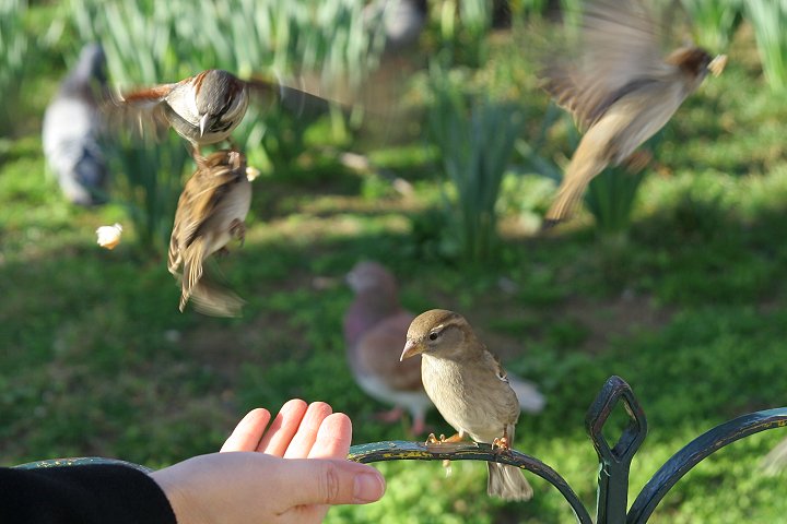 �C�G�X�Y��