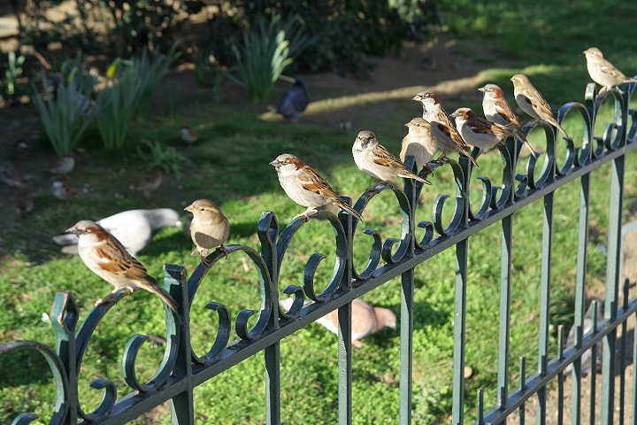 �C�G�X�Y��