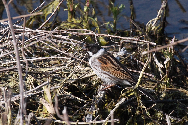 �I�I�W������