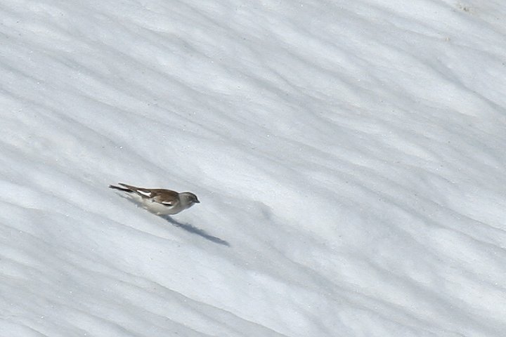 ���L�X�Y��