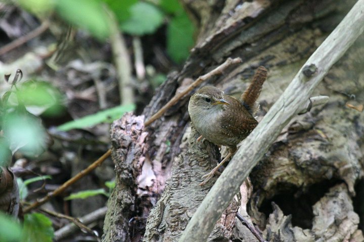 �~�\�T�U�C