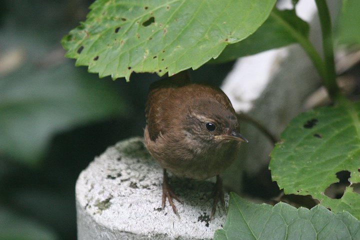 �~�\�T�U�C