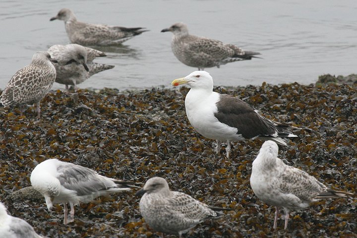 �I�I�J����